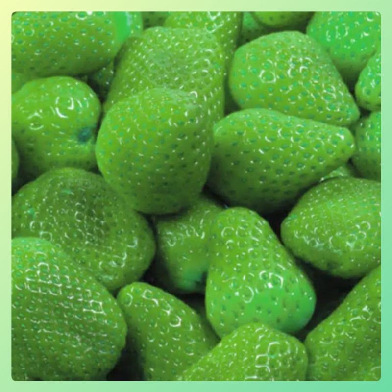 Benih Biji Buah STRAWBERRY HIJAU IMPORT