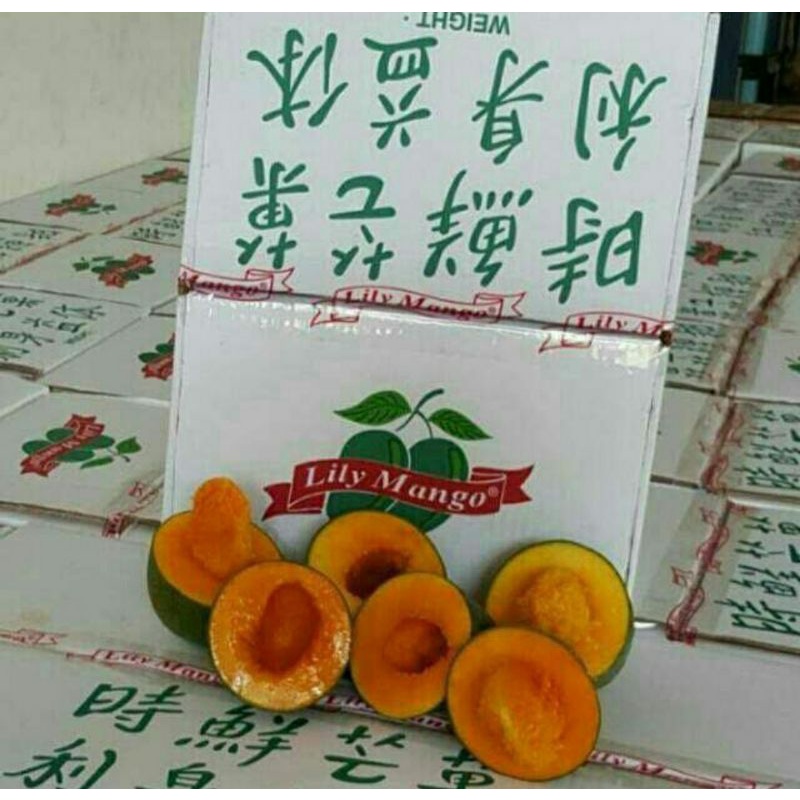 

mangga lily masak pohon | mango suluhan | mangga super manis | 1 kg