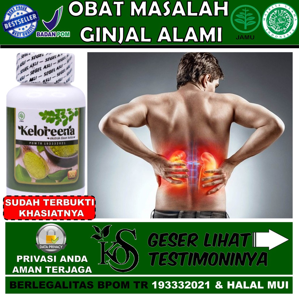 Obat Ginjal Alami Obat Sakit Ginjal Keloreena