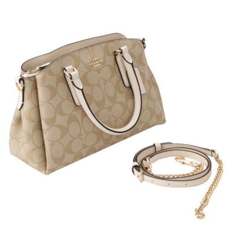 Coach Signature Mini Sage Caryall Light Chalk Multi( C29434)