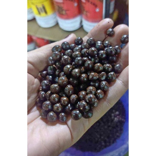 Jual Jamu pil anti pelakor 500 gram bujang Dayak kalimantan | Shopee