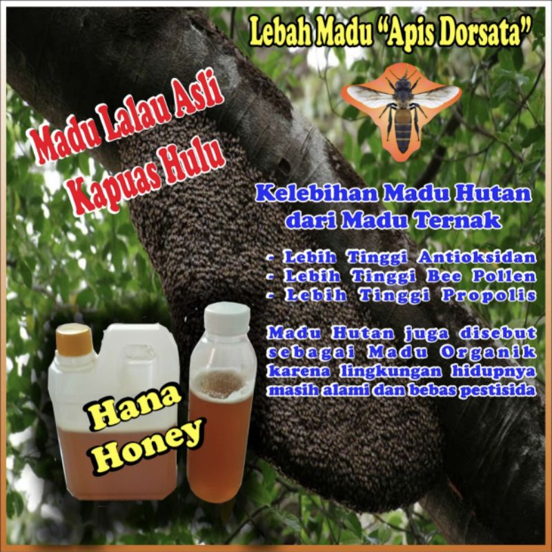 

Madu Lalau Asli Kapuas Hulu