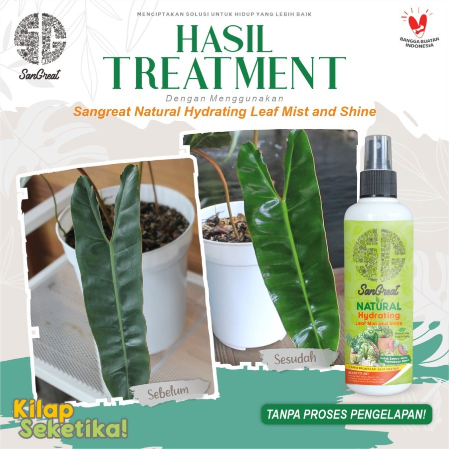 Pengkilap Daun Tanpa Pengelapan SanGreat Hydrating Leaf Mist &amp; Shine