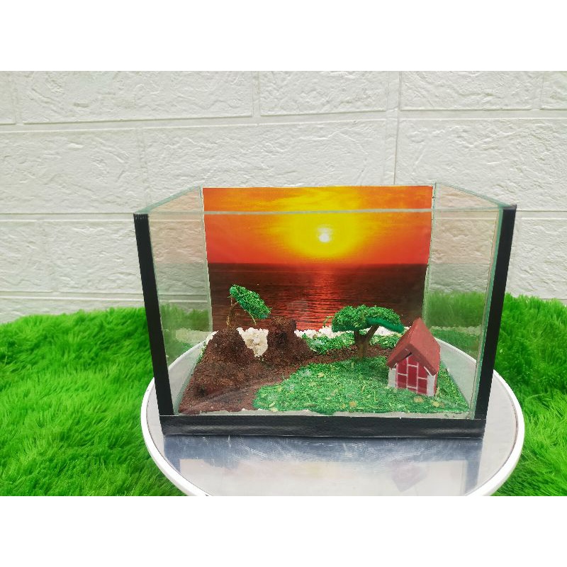 akuarium baby chana tema sunset