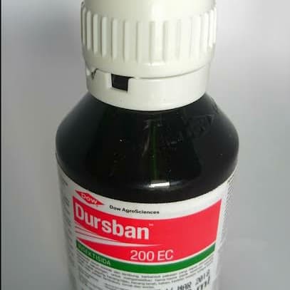 tanaman hias pestisida obat hama dusban Terlaris