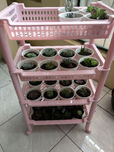 Paket Sekulen 50 Pcs