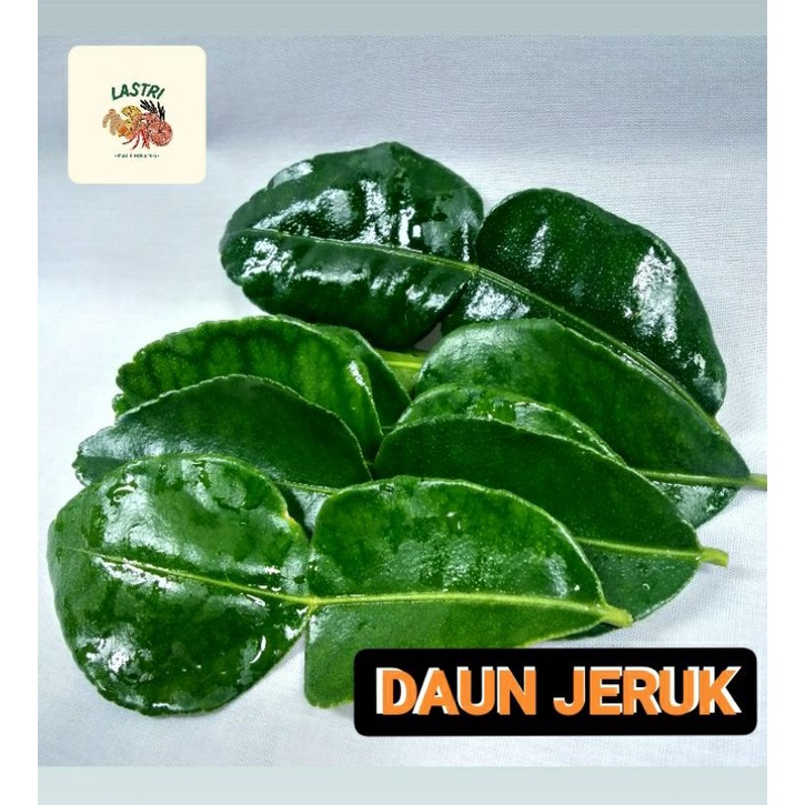 

Daun Jeruk (Lime leaves) 50 gram/ Bumbu Rempah-Rempah