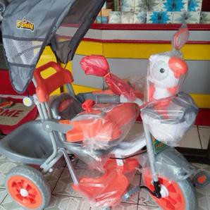 Sepeda Roda Tiga Family Rio