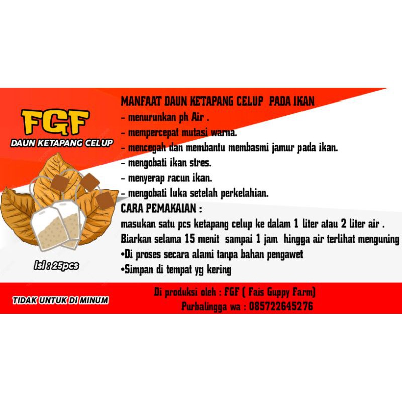 

DAUN KETAPANG CELUP