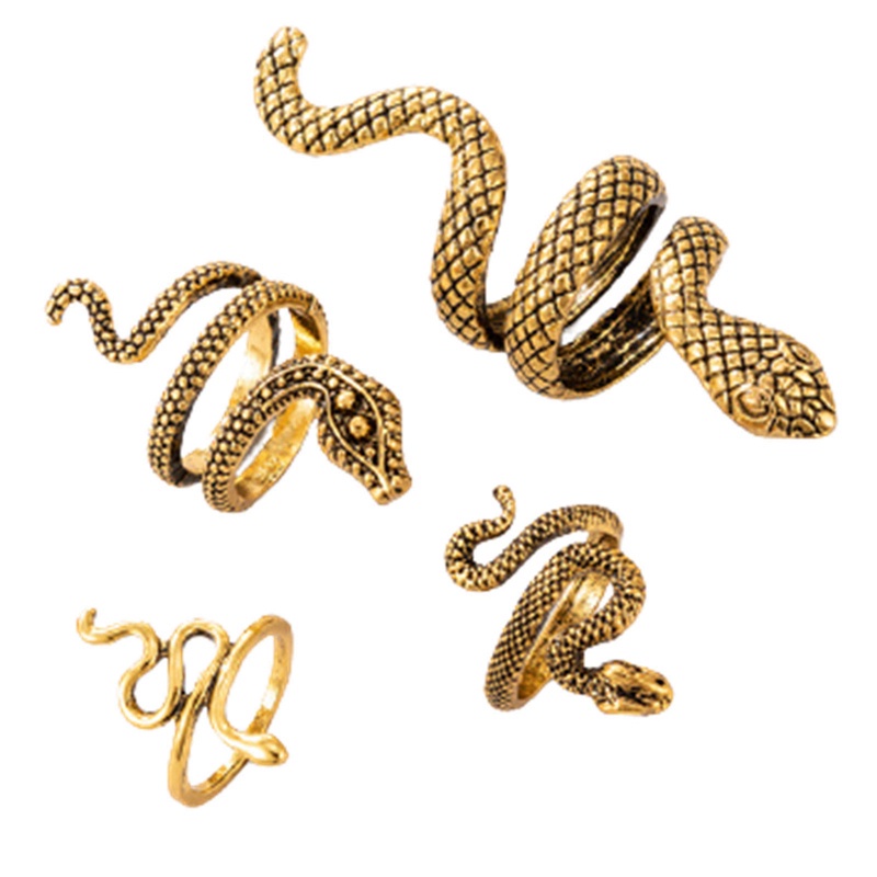 Fancyqube 4pcs / Set Cincin Bentuk Ular Bahan Metal Alloy Warna Silver Gaya Vintage Gothic Untuk Pria Dan Wanita