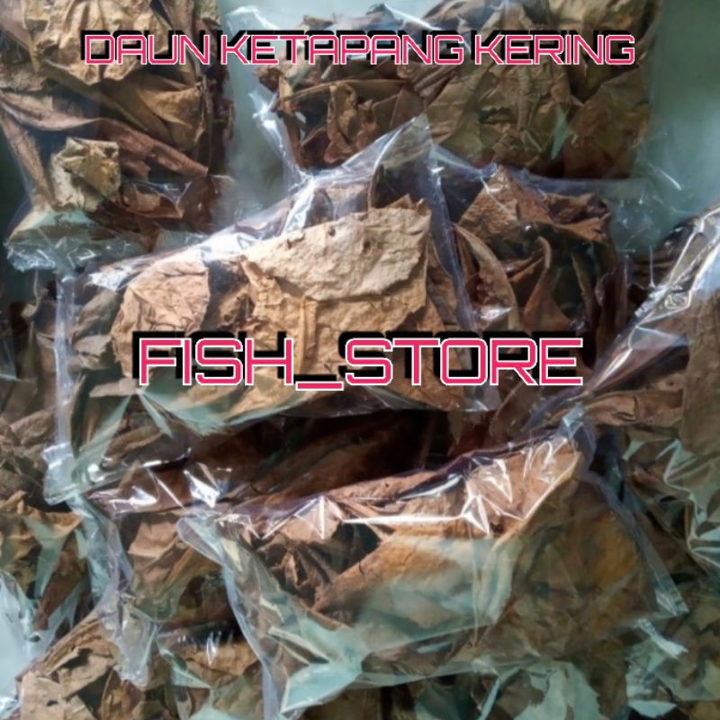 Jual Daun Ketapang Kering Daon Ketapang Obat Ikan Cupang Shopee