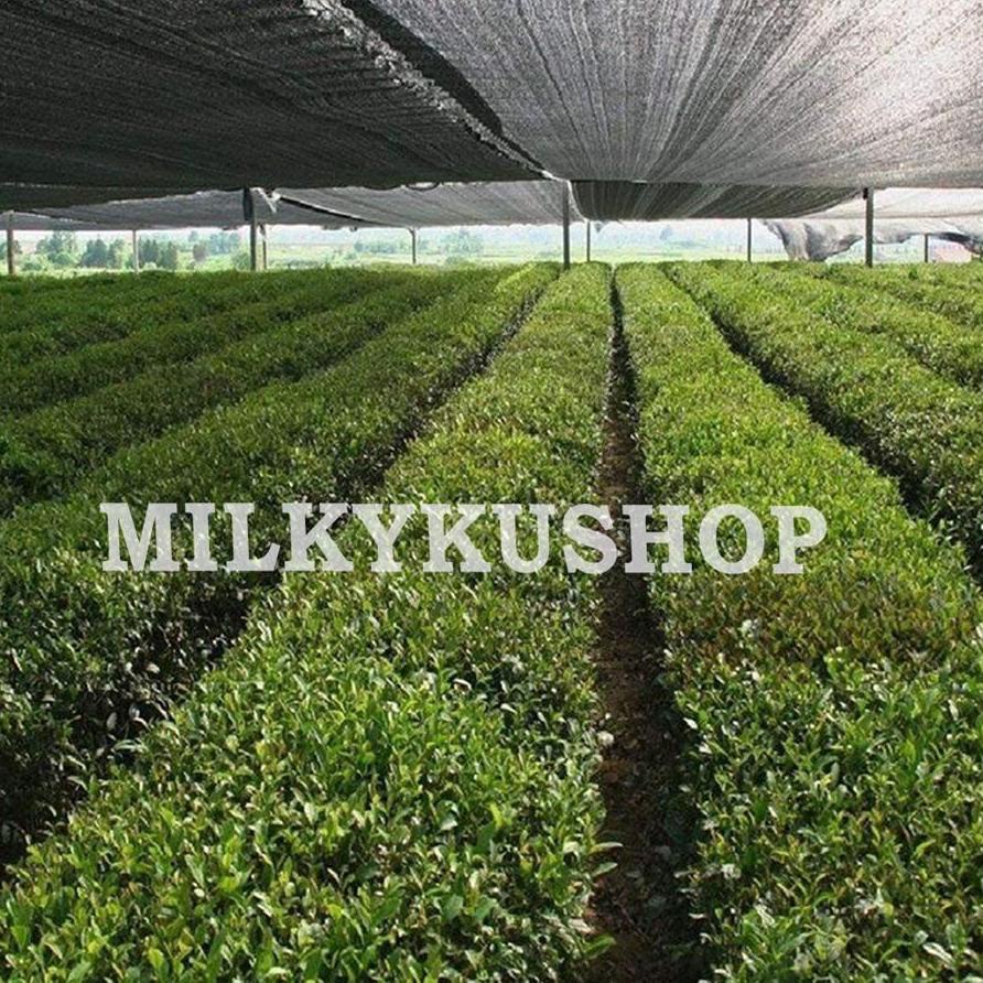 ➩ PARANET 75% LEBAR 5 METER JUAL PER 1 METER SHADING NET JARING ATAP ✦