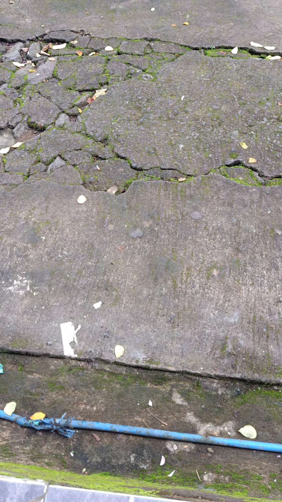 Pisau Set 4in1 - Pisau Daging / Pisau Buah, Pisau Sayur, Peeler, Gunting