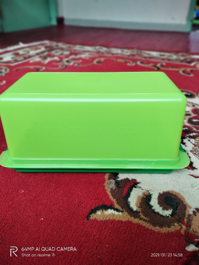 Bread N Saver Warna Warni Indonesia / Malaysia (1 Pcs) Kotak Roti / Kue Tupwr