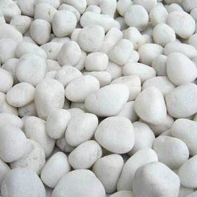 Batu koral putih italy