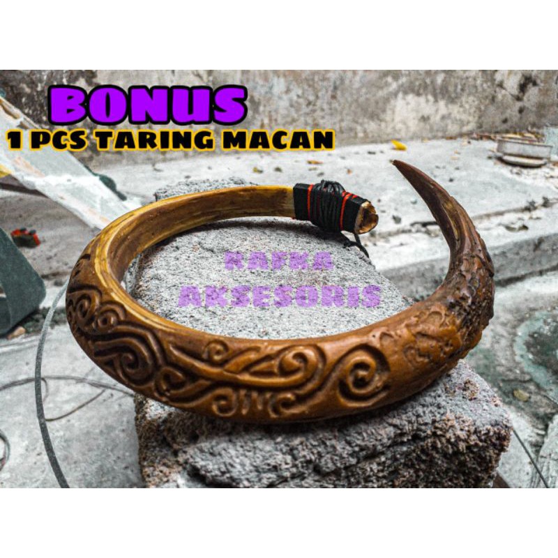 KALUNG TARING BABI MACAN PRIA WANITA AKSESORIS