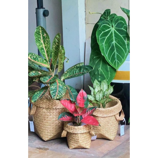 TAS ANYAM | KERANJANG ANYAMAN | COVER ANYAMAN POT
