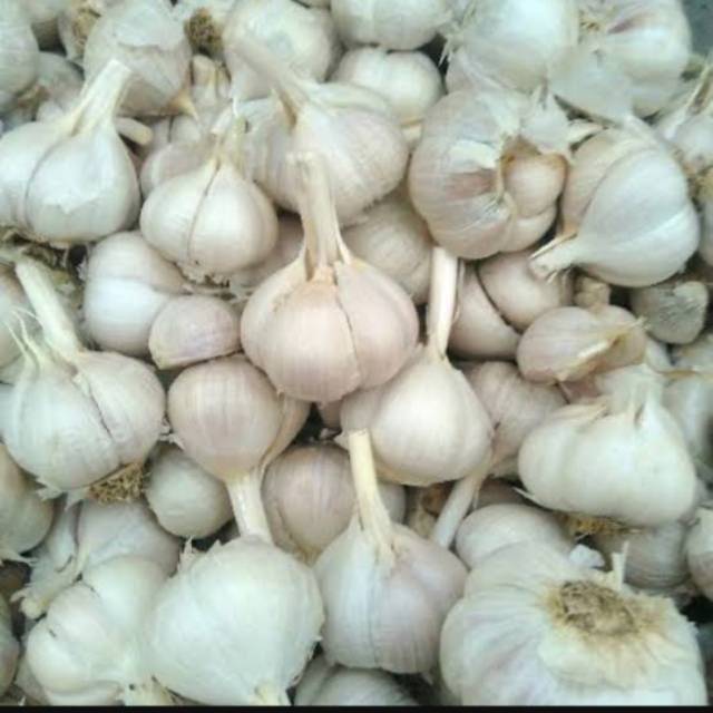 

Bawang Putih Kating 1 Kg (Bogor)