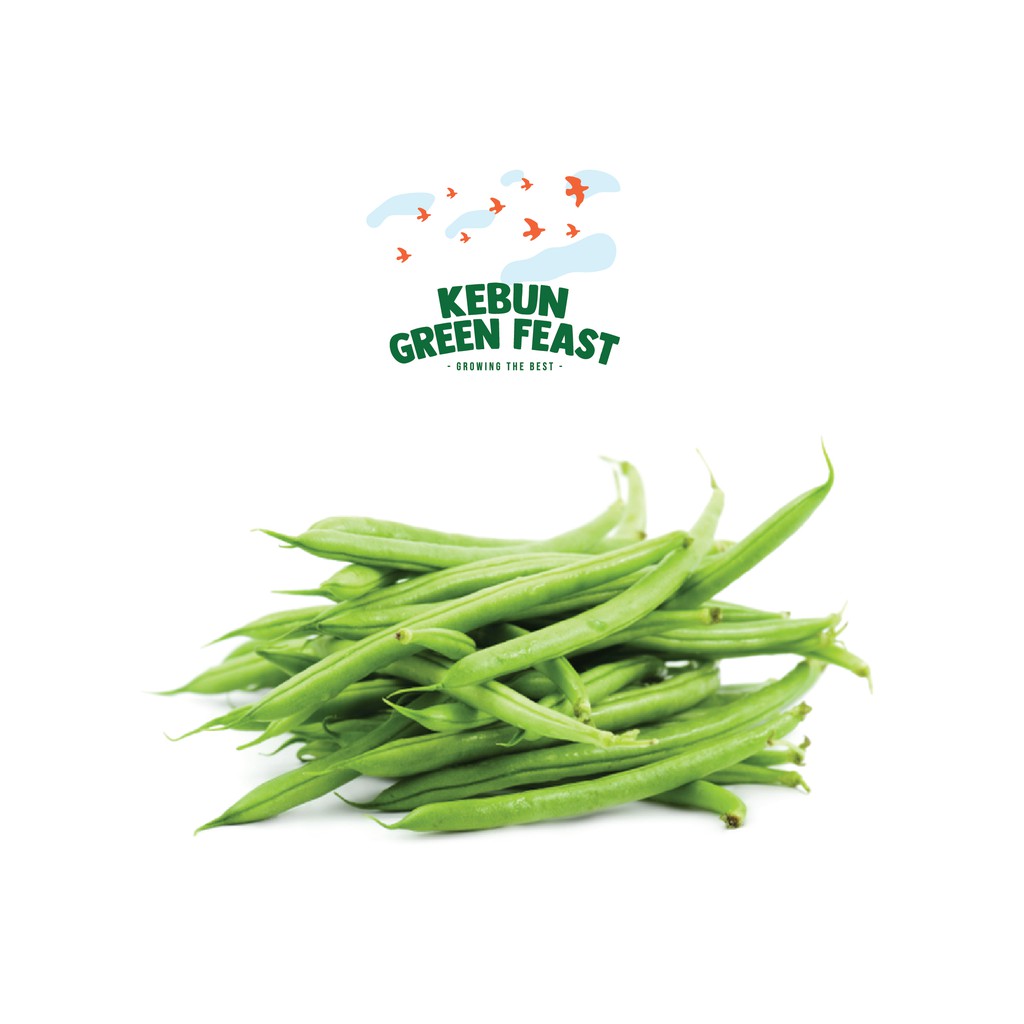 

Buncis Sayur Fresh