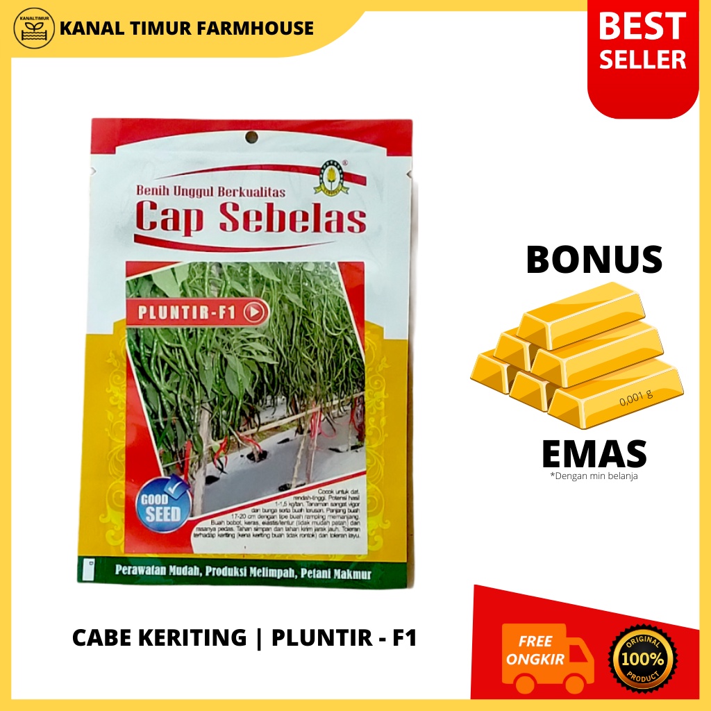 Benih Cabe Keriting Cap Sebelas PLUNTIR - F1 (Tahan Virus) - 10gr