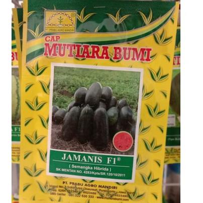 Tren Kekinian.. Benih Semangka Hibrida Jamanis F1 20gr || Inul Daging Merah Cap Mutiara Bumi