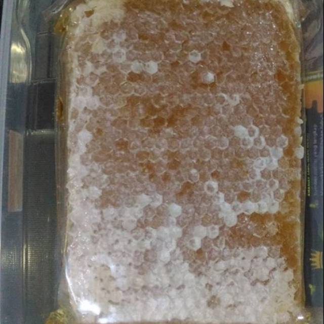 

Madu sarang asli