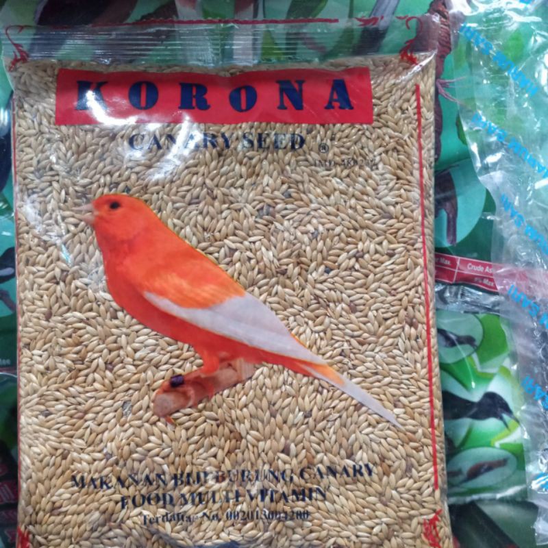 KORONA KENARI SEED MAKANAN BURUNG KENARI