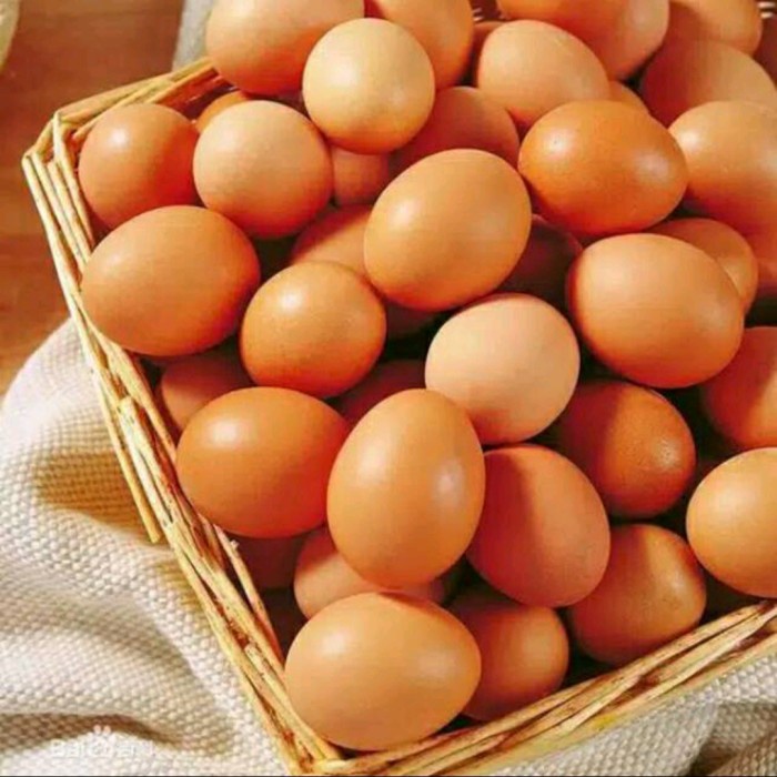 

TELUR AYAM