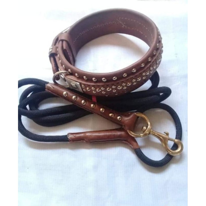 kalung anjing asli kulit