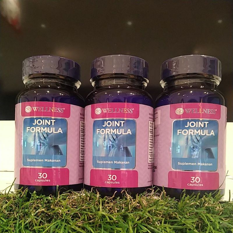 wellness joint formula