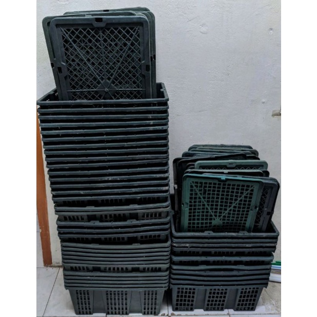 Keranjang buah bekas + tutup