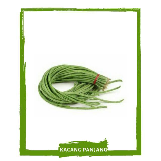 

Kacang Panjang / Sayur Sayuran Segar