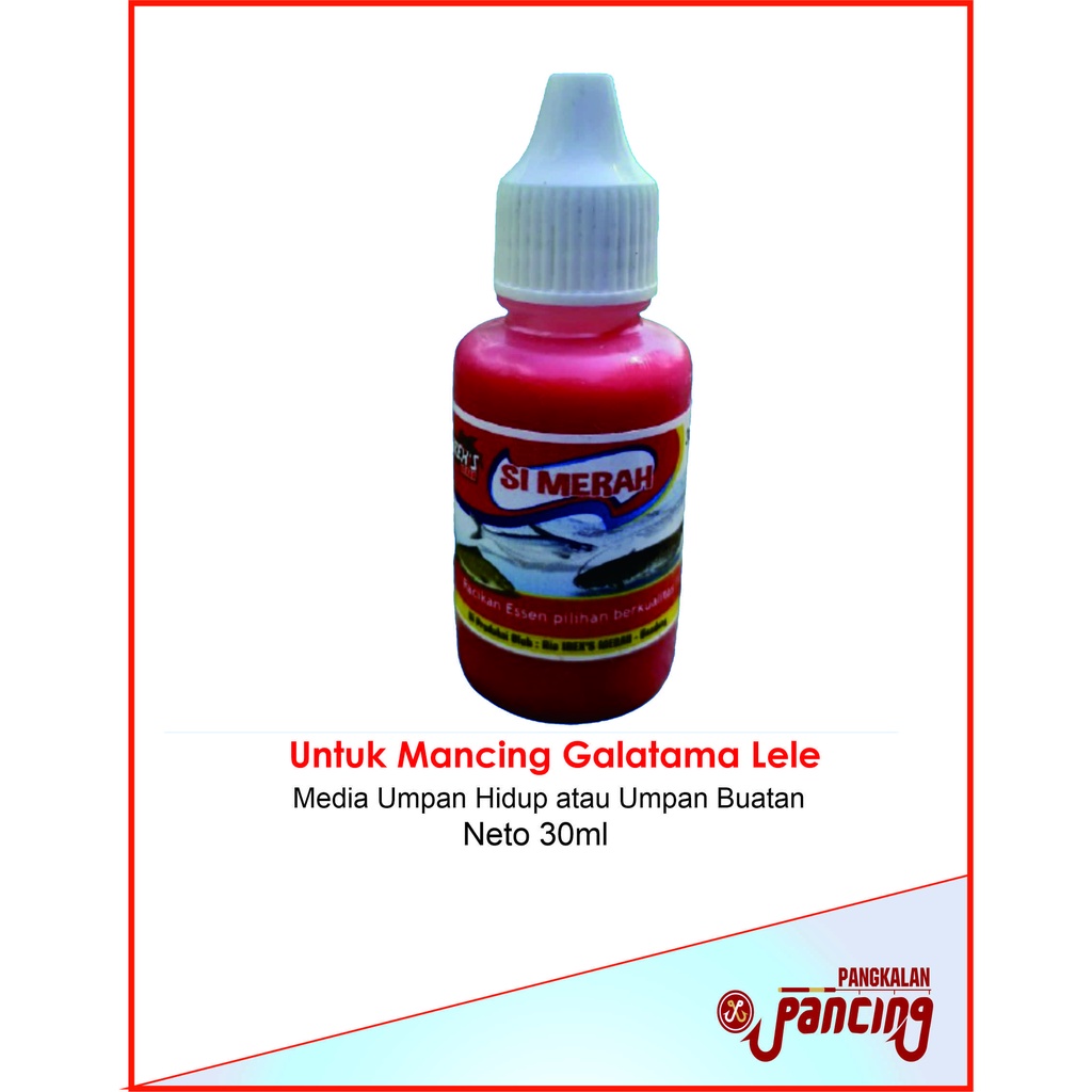 ESSEN IREX"S / ESSEN GALATAMA