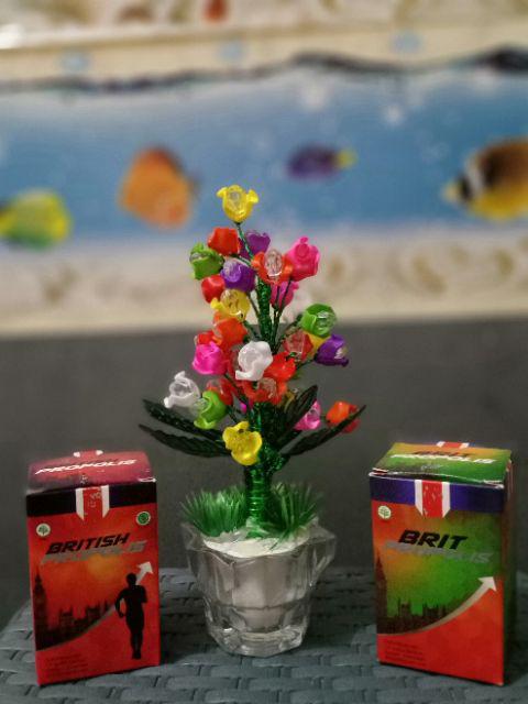 Pajangan Bunga Hias Akrilik D Rainbow Dekorasi Akrilik