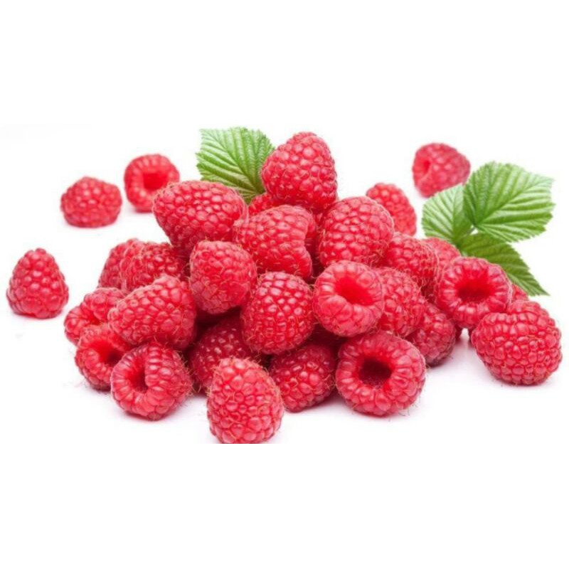 Benih Buah Unggul Raspberi Buah Raspberry