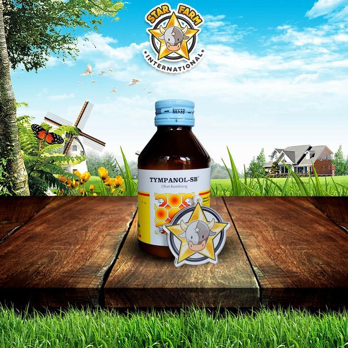 Kualitas terbaik] Tympanol 100 Ml Sanbe