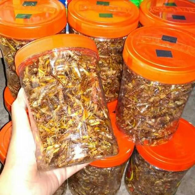 

Belalang padi dan kayu