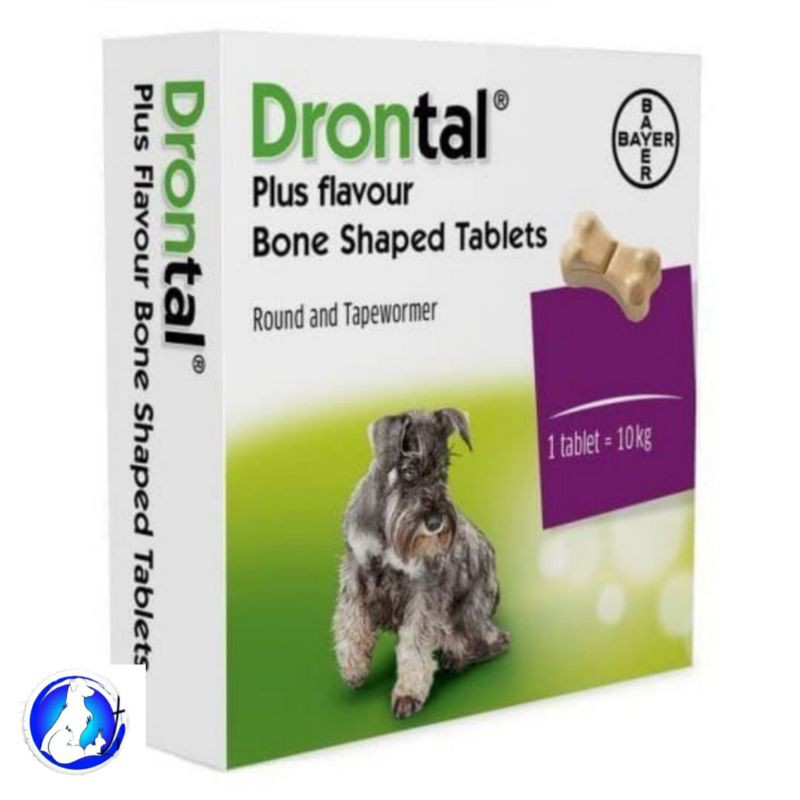 Jual Bayer Drontal Dog Plus Tasty Obat Cacing Anjing Indonesia Shopee Indonesia