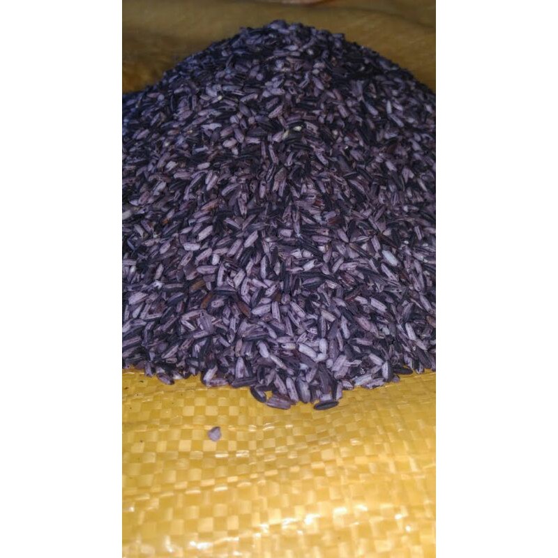 

ketanhitamsosoh0.5kg