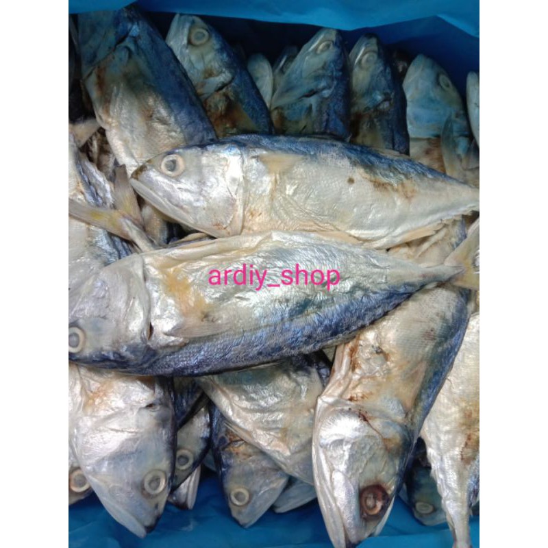 

Ikan asin peda/ gembung 250 gram