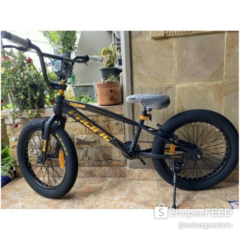 sepeda Pasific zeckrom 20inch