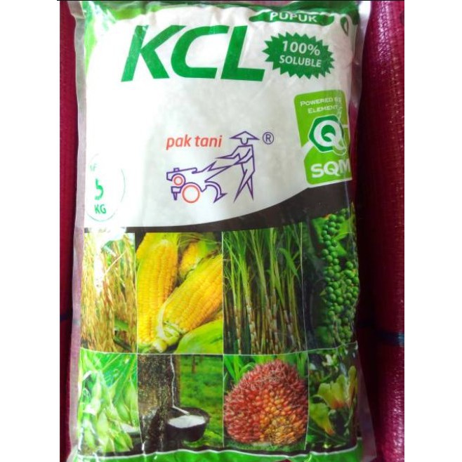 PUPUK KCL PUTIH PAK TANI 5 KG