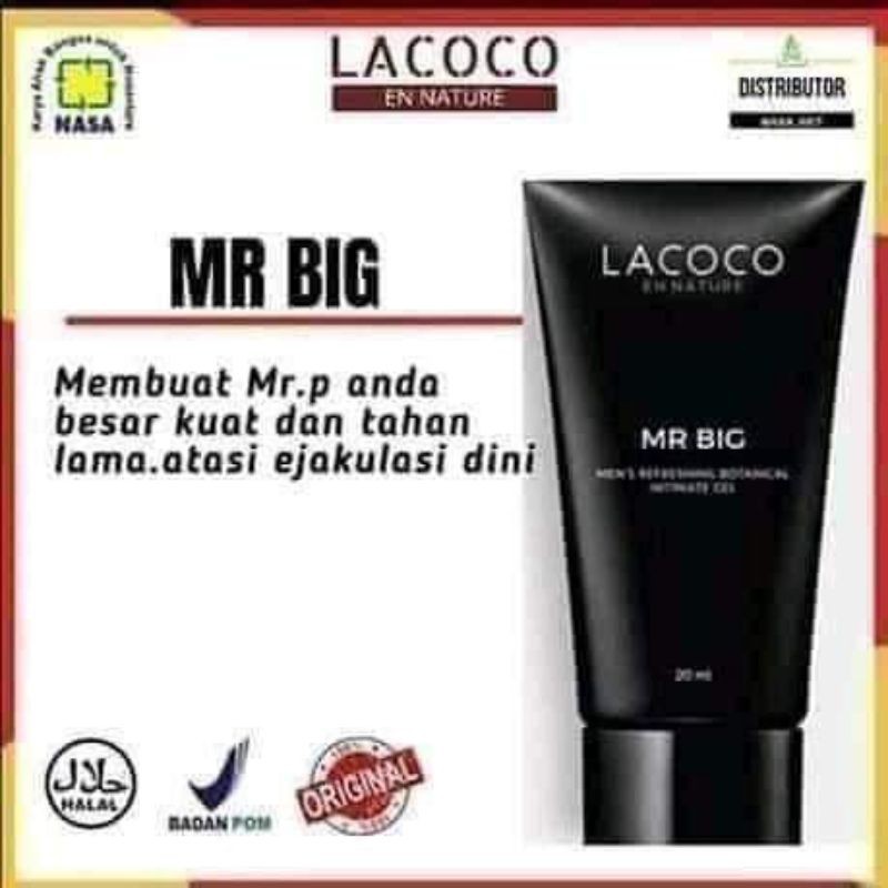 Lacoco mr.big nasa