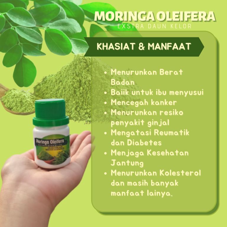 Yuk Lihat Manfaat Daun Kelor Untuk Penyakit Lambung 