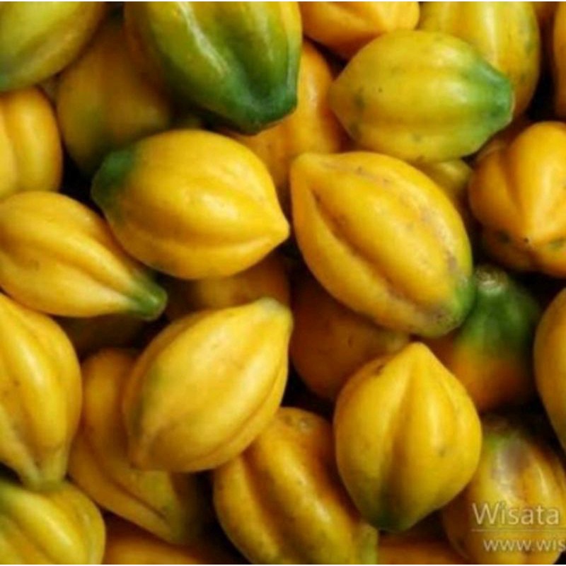 

Buah Carika Khas Dieng