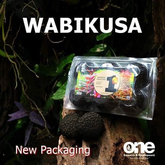 (6 BALL) WABIKUSA 6 BALL MEDIA TANAM/ EEVOLUTION WABIKUSA 6 BALL