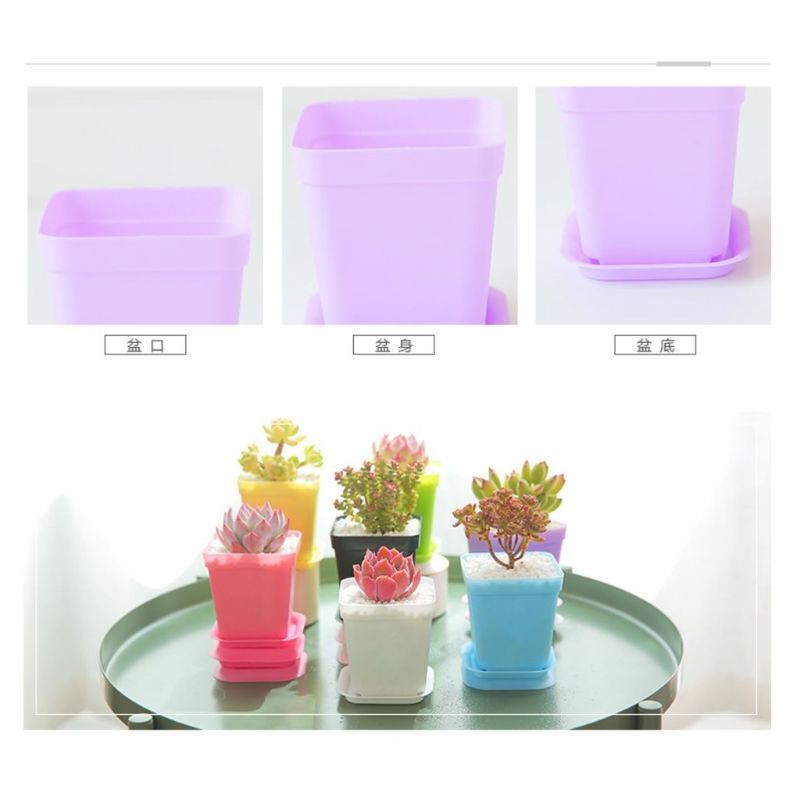 Vas bunga mini / Pot bunga plastik mini / Vas bunga meja