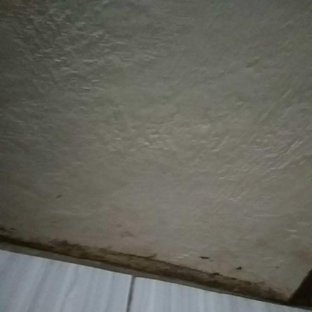 Wallpaper Dinding Original Motif Cars Dan Tayo Termurah