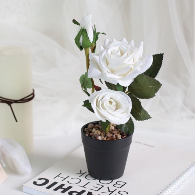 AM502 Bunga Plastik Motif Rose Keranjang Hitam / Bunga Plastik Artificial-Putih