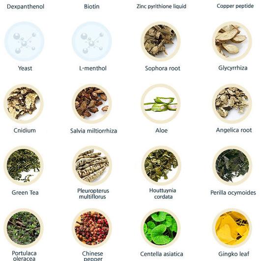 Premium TS Shampoo - Shampoo Untuk Rambut Rontok 100 ML